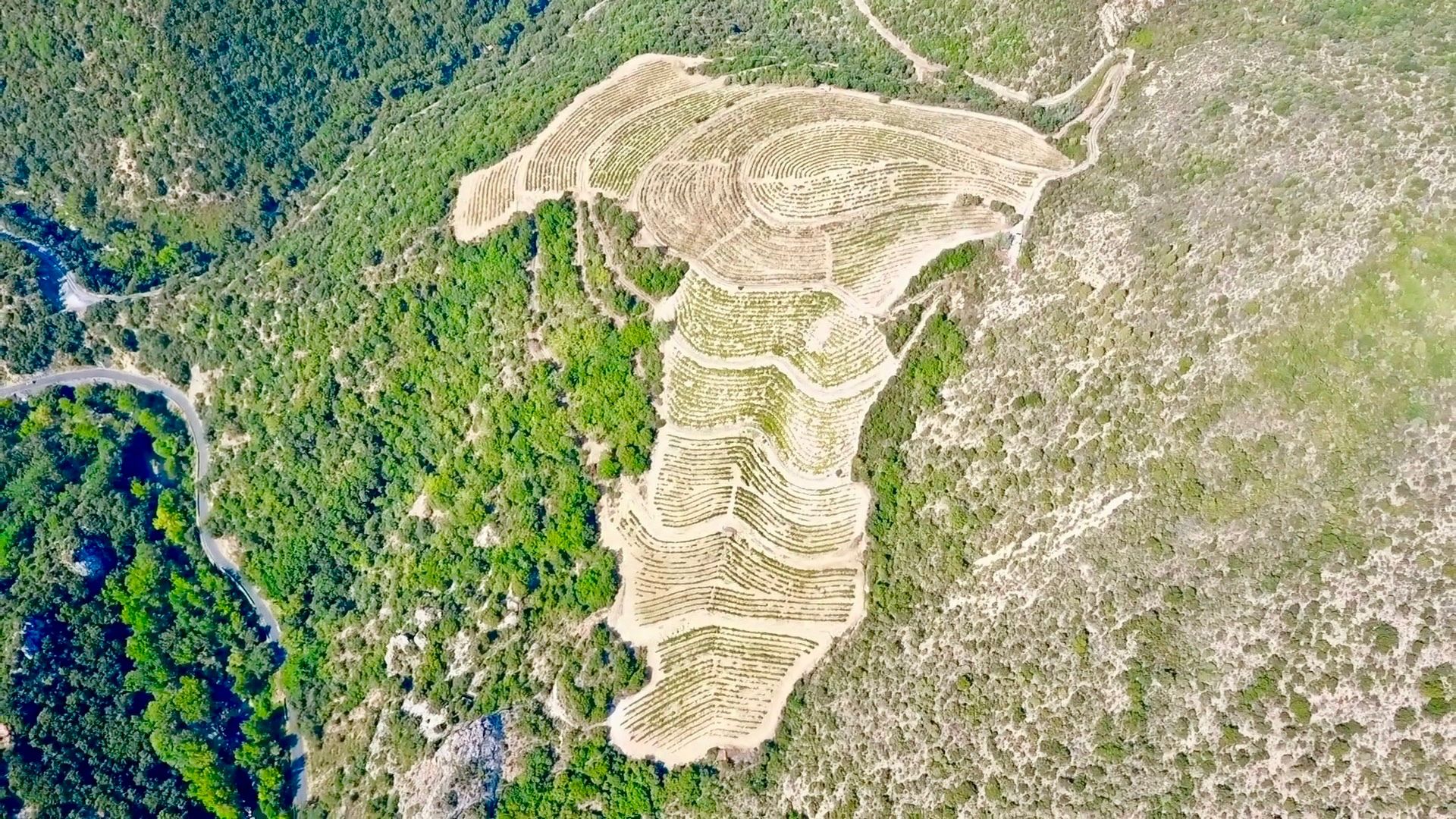 Jeff Carrel winemaker