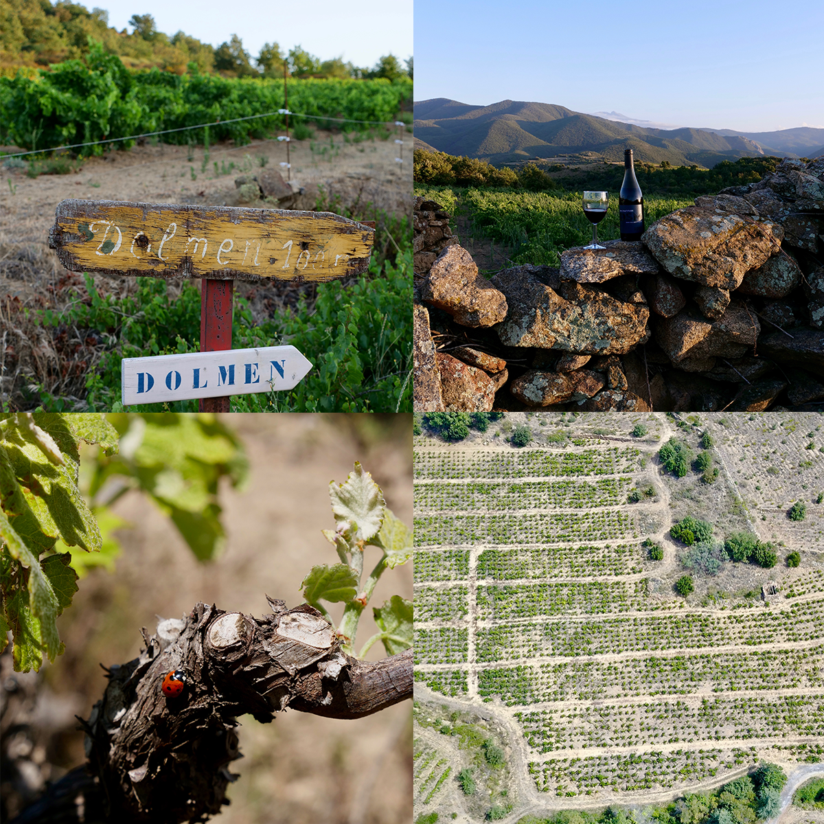 Domaine sous la Montagne